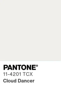 pantone-color-chip-11-4201-tcx